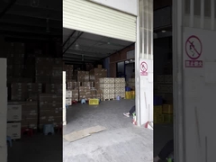 Introdução ISUZU JMC JAC Auto Parts de Manma Empresa